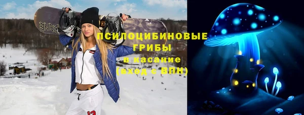 прущая мука Алзамай