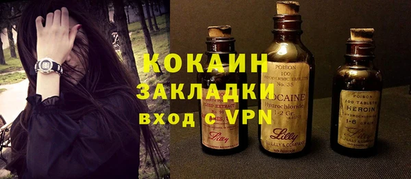 индика Кулебаки
